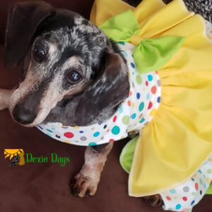 Custom Made Polka Dots and Bright Colors Sweet Dog Party Dress