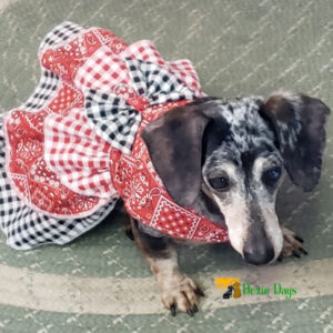 Custom Made Country Style Gingham and Bandana Print Sweet Dog Dress
