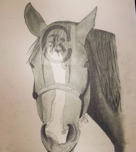 9x11 3/4" charcoal horse