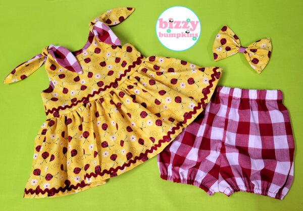 Ladybugs and gingham shortie set by Bizzy Bumpkins
