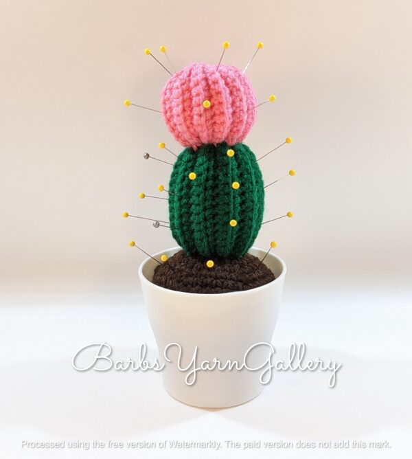 Pink Barrel Cactus Pincushion