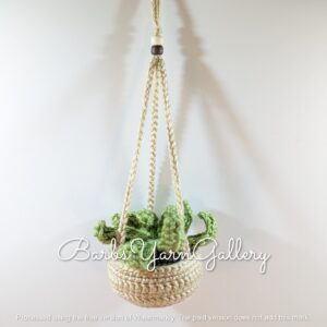 Boho Mini Succulent Hanging-Plant
