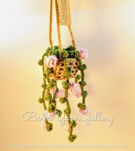 Pink Flower String-Of-Pearls Plant