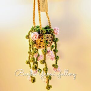 Pink Flower String-Of-Pearls Plant